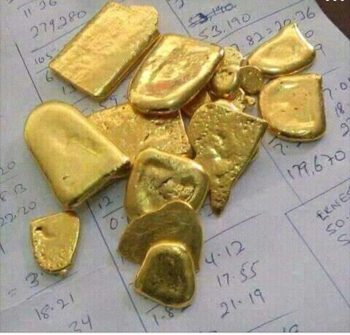 Gold Mining Project